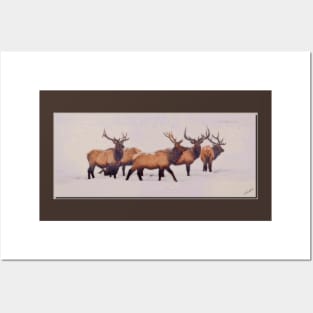 Elk Posters and Art